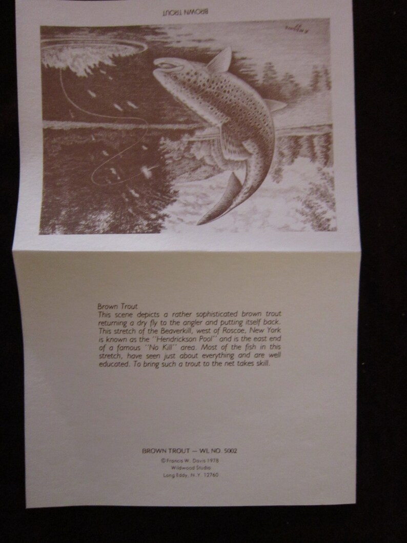 Brown Trout Boxed Note Cards 10 Cards with 10 Envelopes per Box
