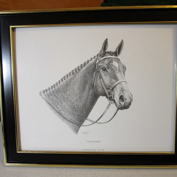 Vintage Framed Thoroughbred Pencil Sketch Print Signed by Artist F.W. Davis