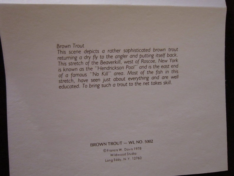 Brown Trout Boxed Note Cards 10 Cards with 10 Envelopes per Box