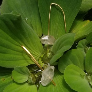 May include: A pair of gold earrings with clear crystal teardrop-shaped stones hanging from thin gold wires. The earrings are photographed on a green leafy background.