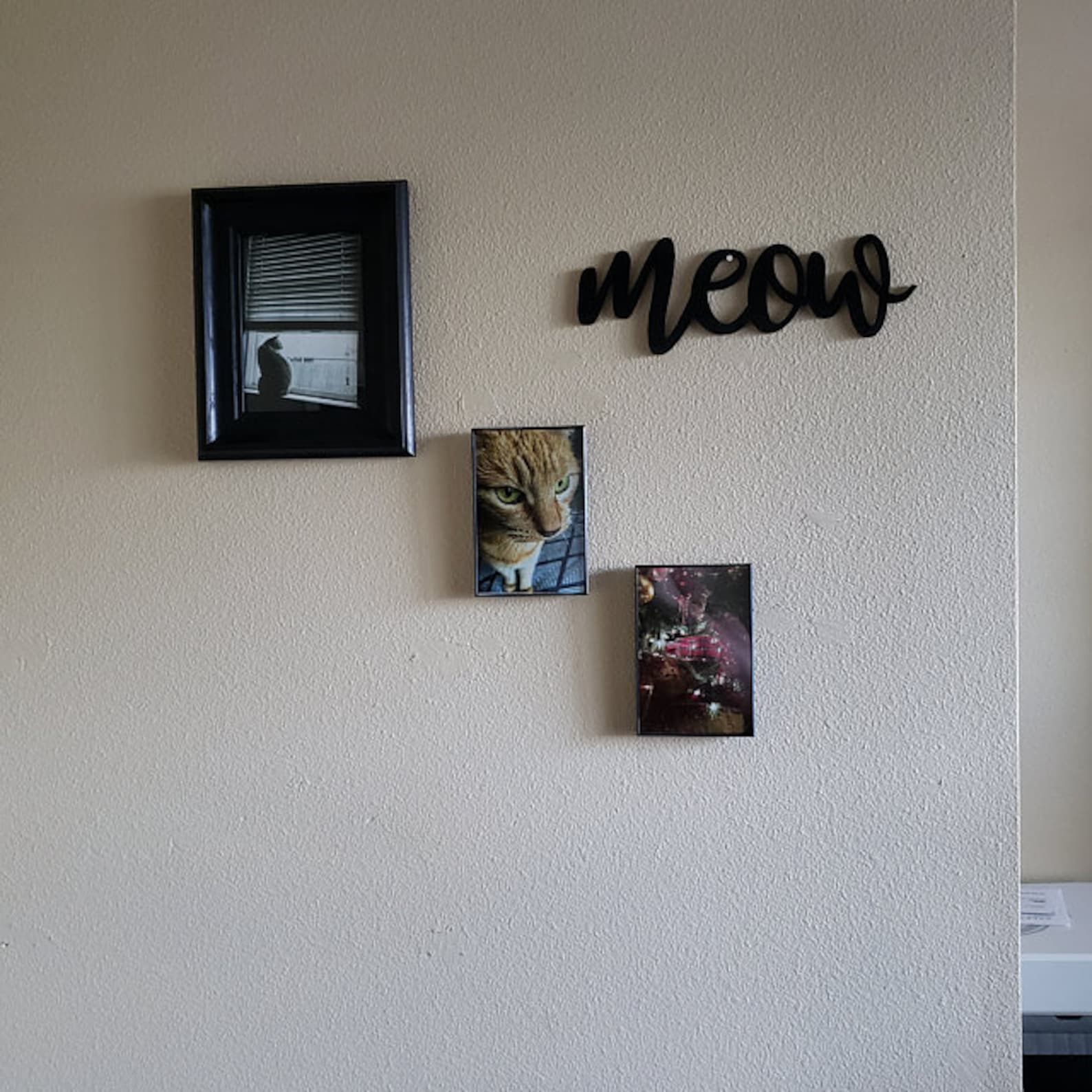 Meow Script Wording Meow Wording Meow Sign | Etsy