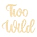 Two Wild Sign- Two Wild Birthday Sign- Second Birthday - Etsy