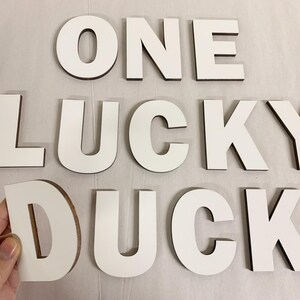 One Lucky Duck Birthday Arch Sign - 6