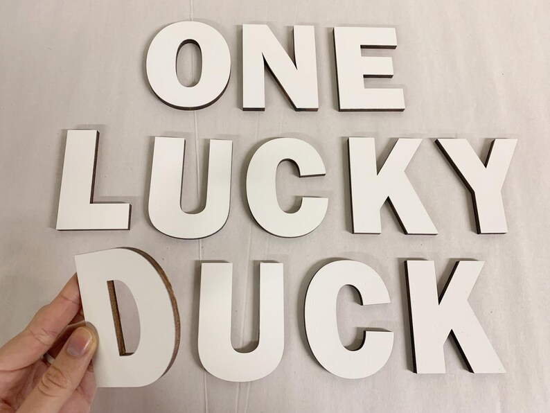 One Lucky Duck Birthday Arch Sign - 6