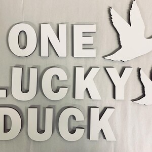 One Lucky Duck Birthday Arch Sign - 5