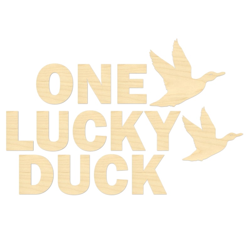 One Lucky Duck Birthday Arch Sign