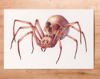 Latrodectus calva // 6x9" Mini Art Print // Ink and Watercolor // Medical Inspired Illustration Spider Art