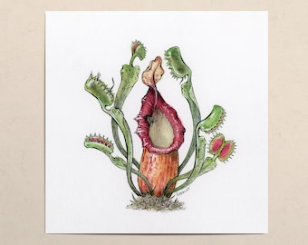 Carnivore // Mini Art Print // Ink and Watercolor