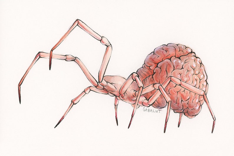 Latrodectus Cerebrum // 6x9