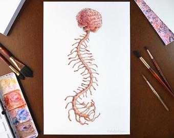Jellyfish 01 // 11x17" Giclee Art Print // Ink and Watercolor // Medical Inspired Illustration