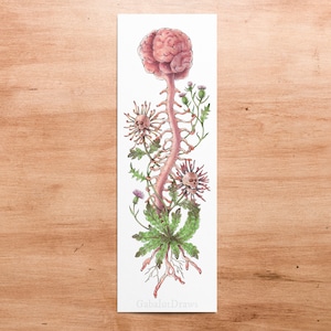 Brainy Botanicals 02 // 6x18" Giclee Art Print // Ink and Watercolor // Medical Inspired Illustration