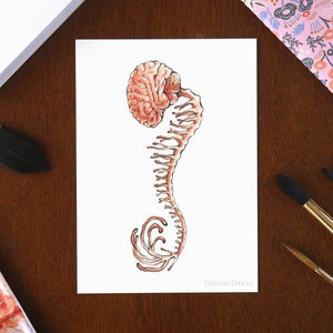 Seahorse 02 // 5x7&quot; Mini Art Print // Ink and Watercolor // Medical Inspired Illustration