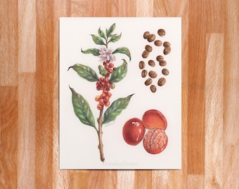 Coffea cerebrum // Giclee Art Print // Watercolor // Body horror // creepy coffee plant