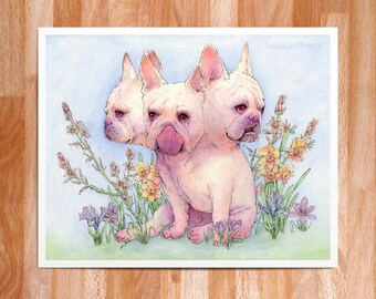 Cerberus // Giclee Art Print // Ink and Watercolor // Three Headed French Bulldog