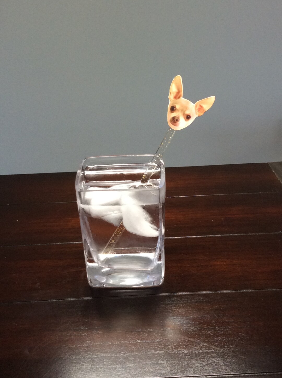 Dog Photo Cocktail Stirrers, Your Pet's Face Drink Stirring Sticks, Cat