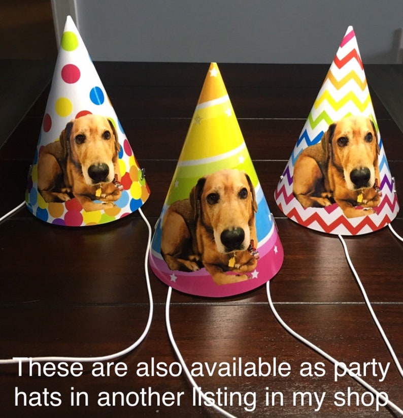 Dog Photo Cocktail Stirrers Your Pet's Face Drink Etsy