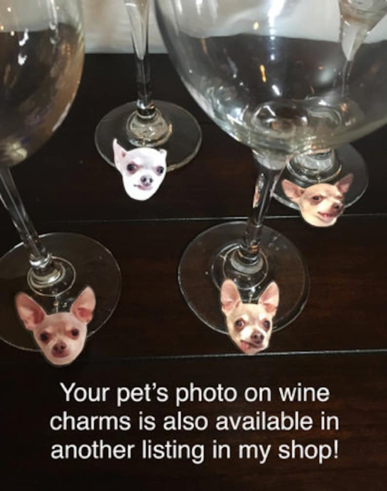 Dog Photo Cocktail Stirrers Your Pet's Face Drink Etsy