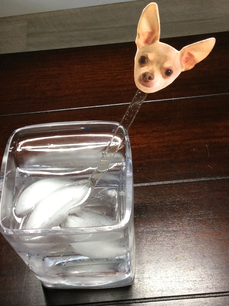 Dog Photo Cocktail Stirrers Your Pet's Face Drink Etsy