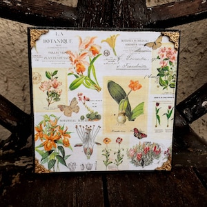 Quadro floreale shabby chic, decorazione da parete botanica vintage, fiori gialli