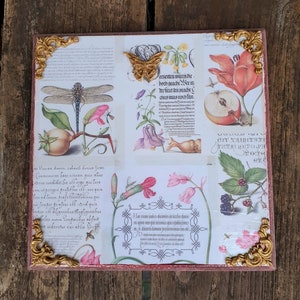 Targa da parete botanica: quadro vintage shabby chic con farfalla