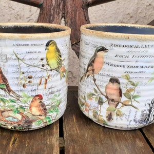 Könnte beinhalten: Zwei weiße Metall-Pflanztöpfe mit einem Vintage-Design mit Vögeln und Noten. Auf dem einen Topf steht der Text "Zoological Lectures delivered at the Royal Institution George Shaw, M.D.F.R.S. with plates". Auf dem anderen Topf steht der Text "A Graded Spelling Lesson 43."