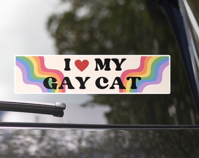 I Love My Gay Cat Bumper Sticker Funny Bumper Sticker