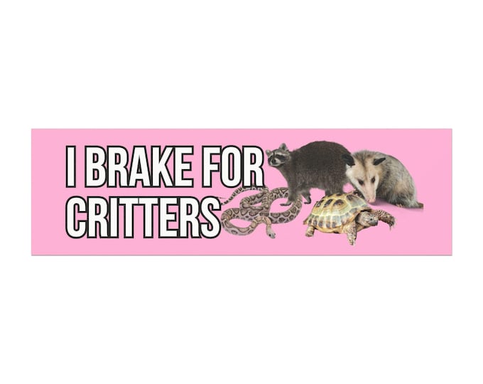 I Brake For Critters Funny Car Magnets