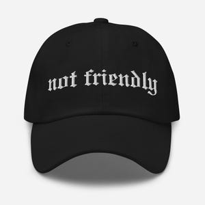 Not Friendly Embroidered Dad Hat
