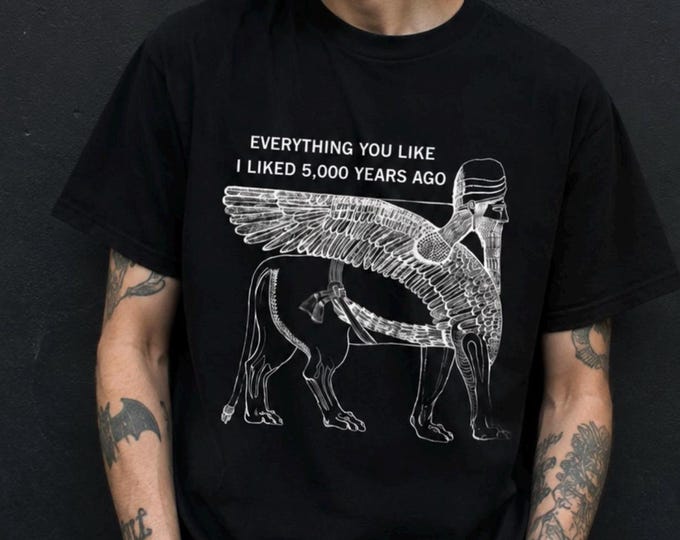 Everything You like I liked 5000 Years Ago T-Shirt