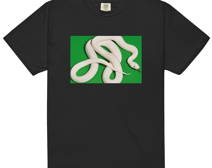 Private Music T-Shirt Minimalist Band-Inspired Comfort Colors
