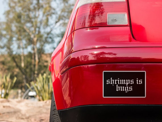 Shrimps is Bugs Magnet, Car Magnet Funny Bumper Sticker Magnet 6"X3" Magnet