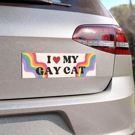 Rainbow Pride Car Magnets | I Love My Gay Cat | LGBTQ Decoration, Funny Pet Lover Gift, Car Accessories, Pride Month, Vehicle Decor