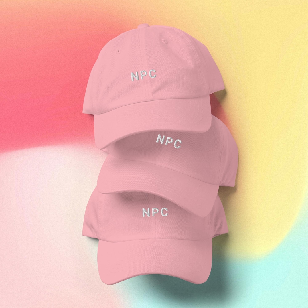 NPC Dad Hat Embroidered Aesthetic Gamer Hat Meme Hat Funny Dad Hat Etsy