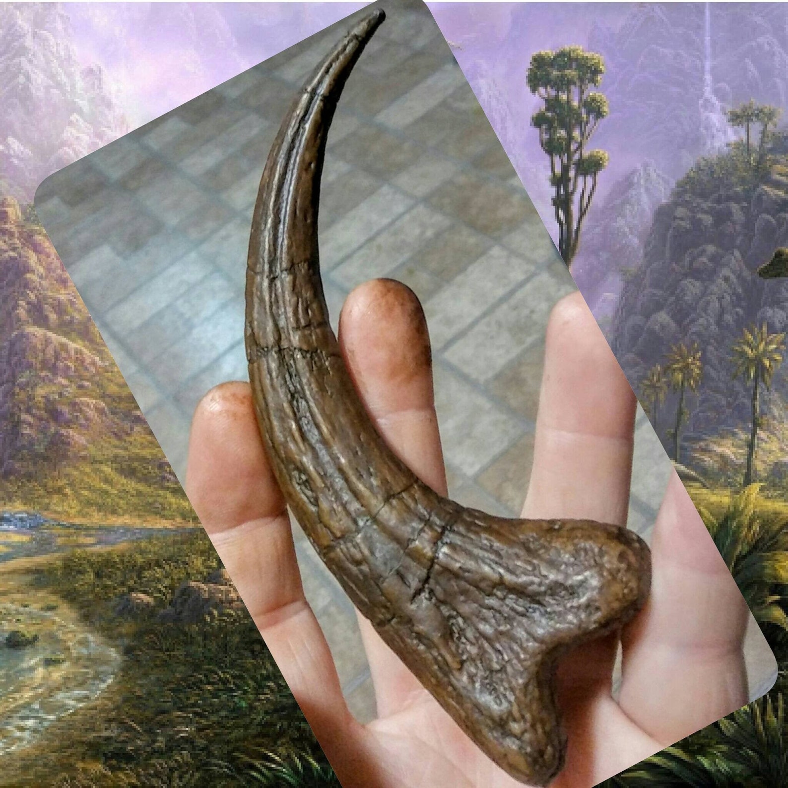 authentic velociraptor claw
