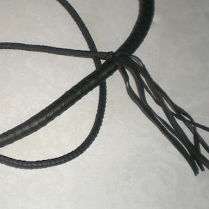 May include: A black leather bullwhip with a braided handle and a long, fringed end.