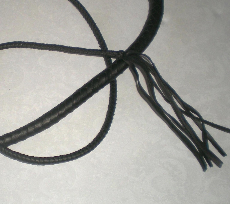 May include: A black leather bullwhip with a braided handle and a long, fringed end.