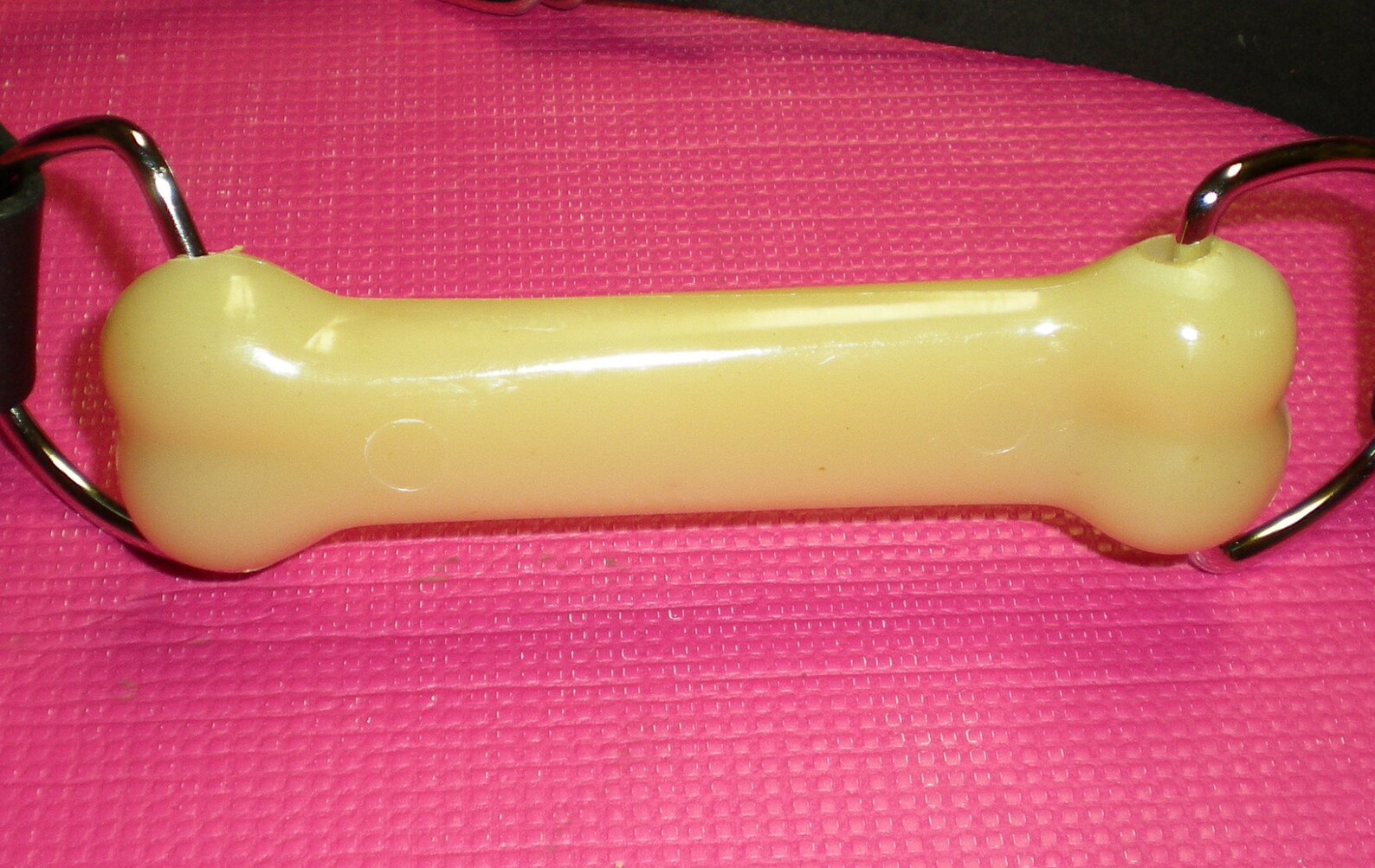 stuffed bone gag
