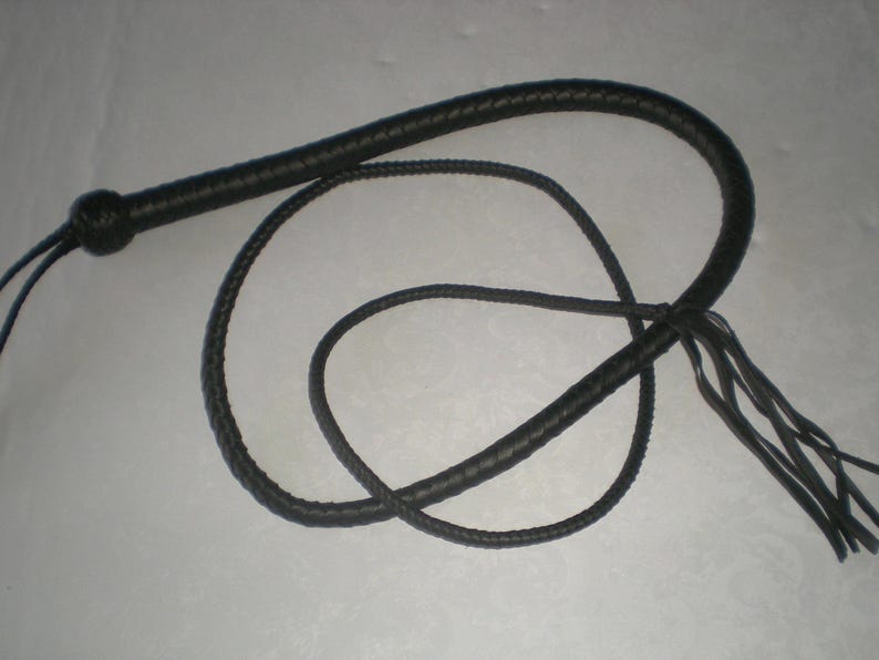 May include: A black leather bullwhip with a braided handle and a long, flowing tassel.