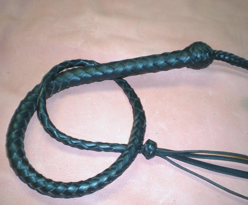 May include: A black leather braided whip with a knotted handle and a long, flowing tail.