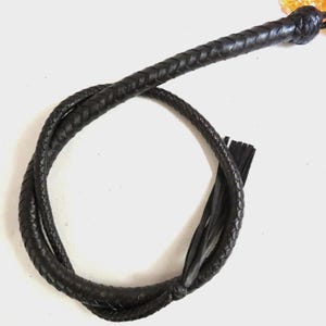 May include: A black leather bullwhip with a braided handle and a long, fringed tail.