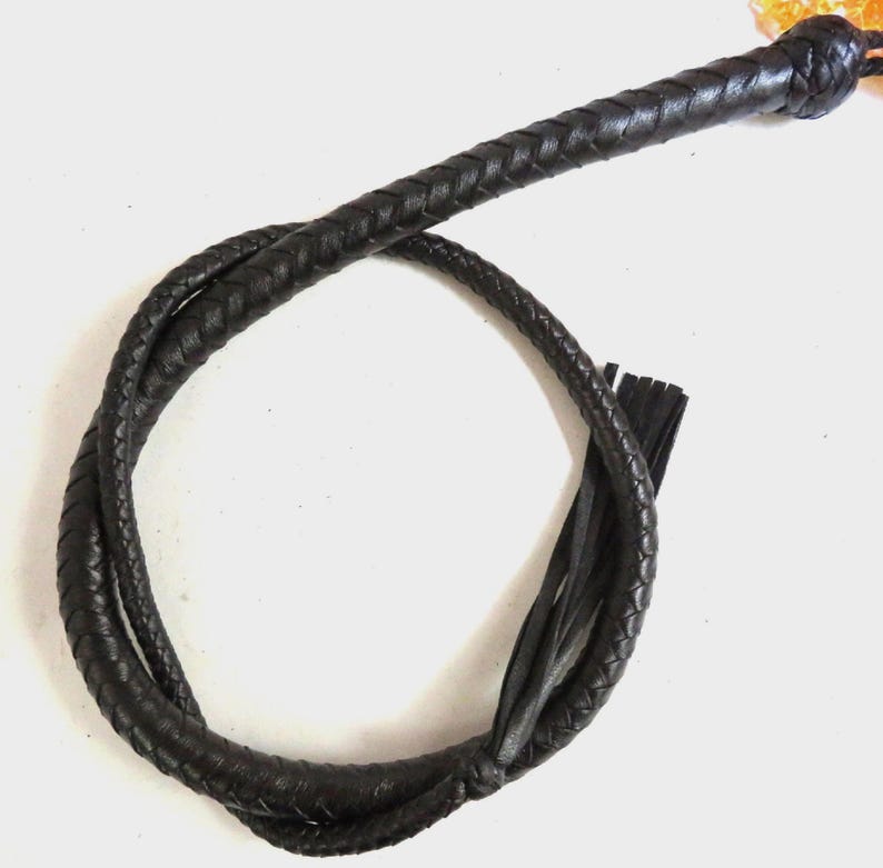 May include: A black leather bullwhip with a braided handle and a long, fringed tail.