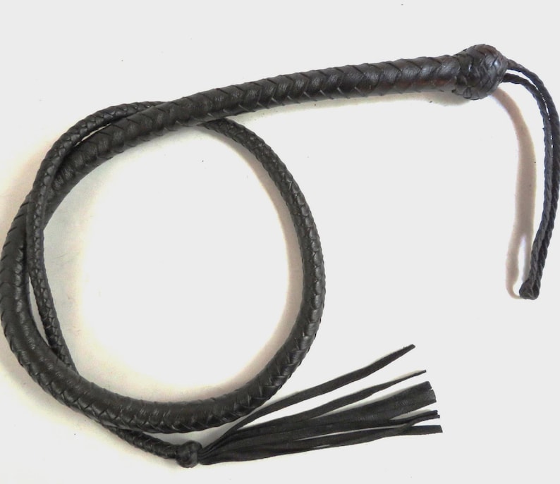 May include: A black leather bullwhip with a braided handle and a long tassel.