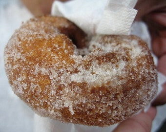 APPLE CIDER DOUGHNUT Type 1 oz Fragrance Oil for candles, soap and more ~ Premium Stock