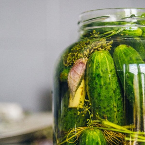 Dill Pickles Fragrance Oil for Candles, Soap, Diffusers, Wax Tarts, Scrubs, Body Butters, Lotion, Perfumes, Bath Salts, Incense and more
