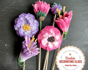 cookie decorating classes san antonio