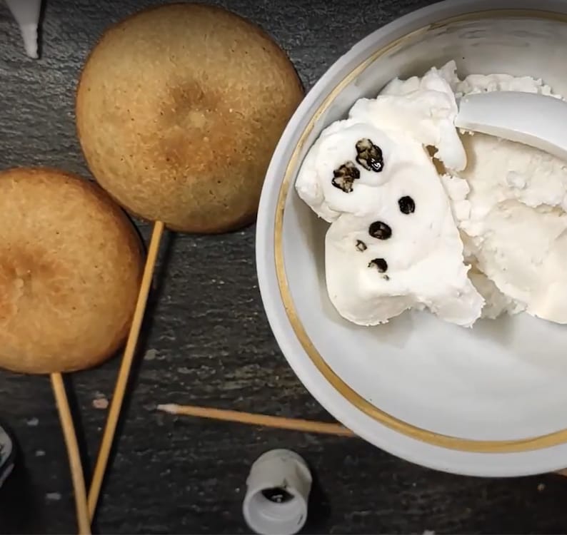 May include: Two round, brown, cake pops on wooden sticks, and a white bowl with a scoop of white ice cream with black specks.