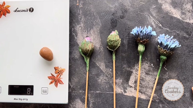 May include: A digital kitchen scale displays 8g, with a brown almond and star anise. To the right are three decorative flowers with blue and green hues, and one with pink and green hues. The background is dark grey.