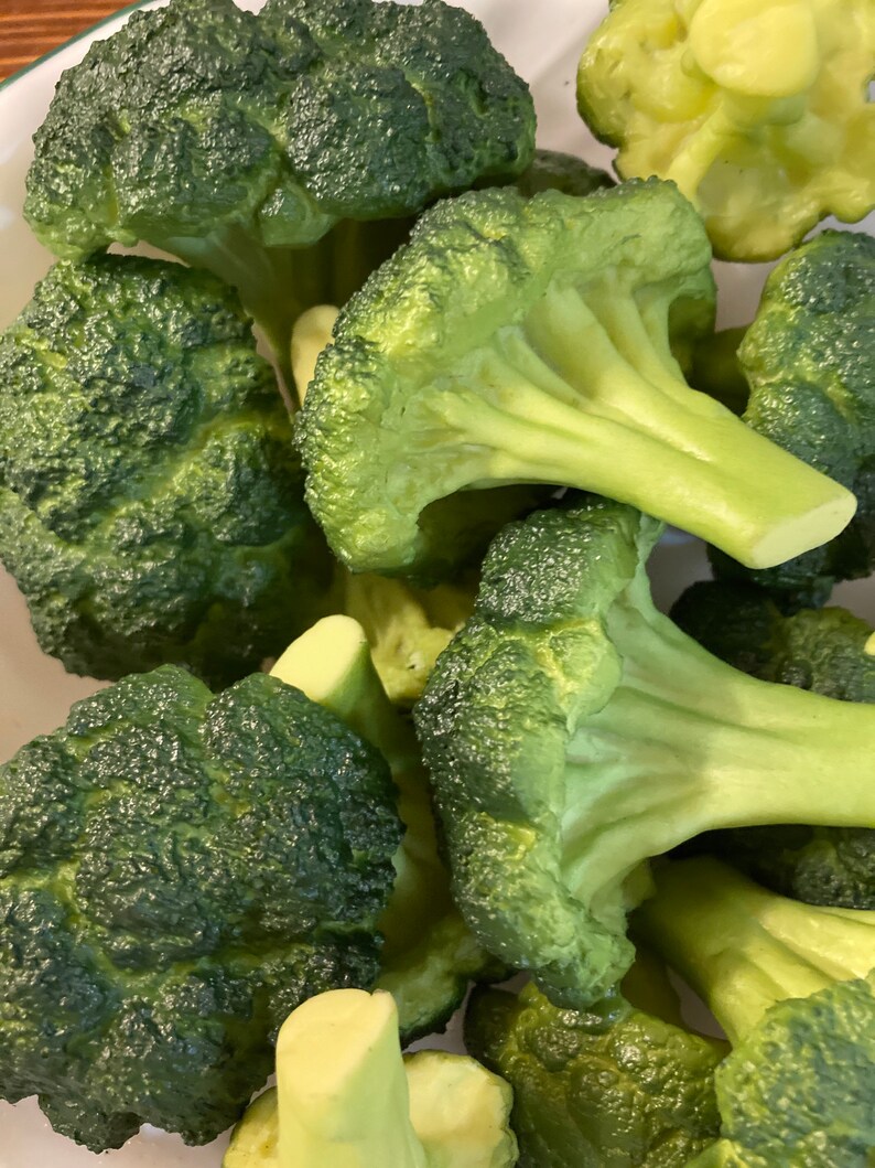 Fake Broccoli Etsy