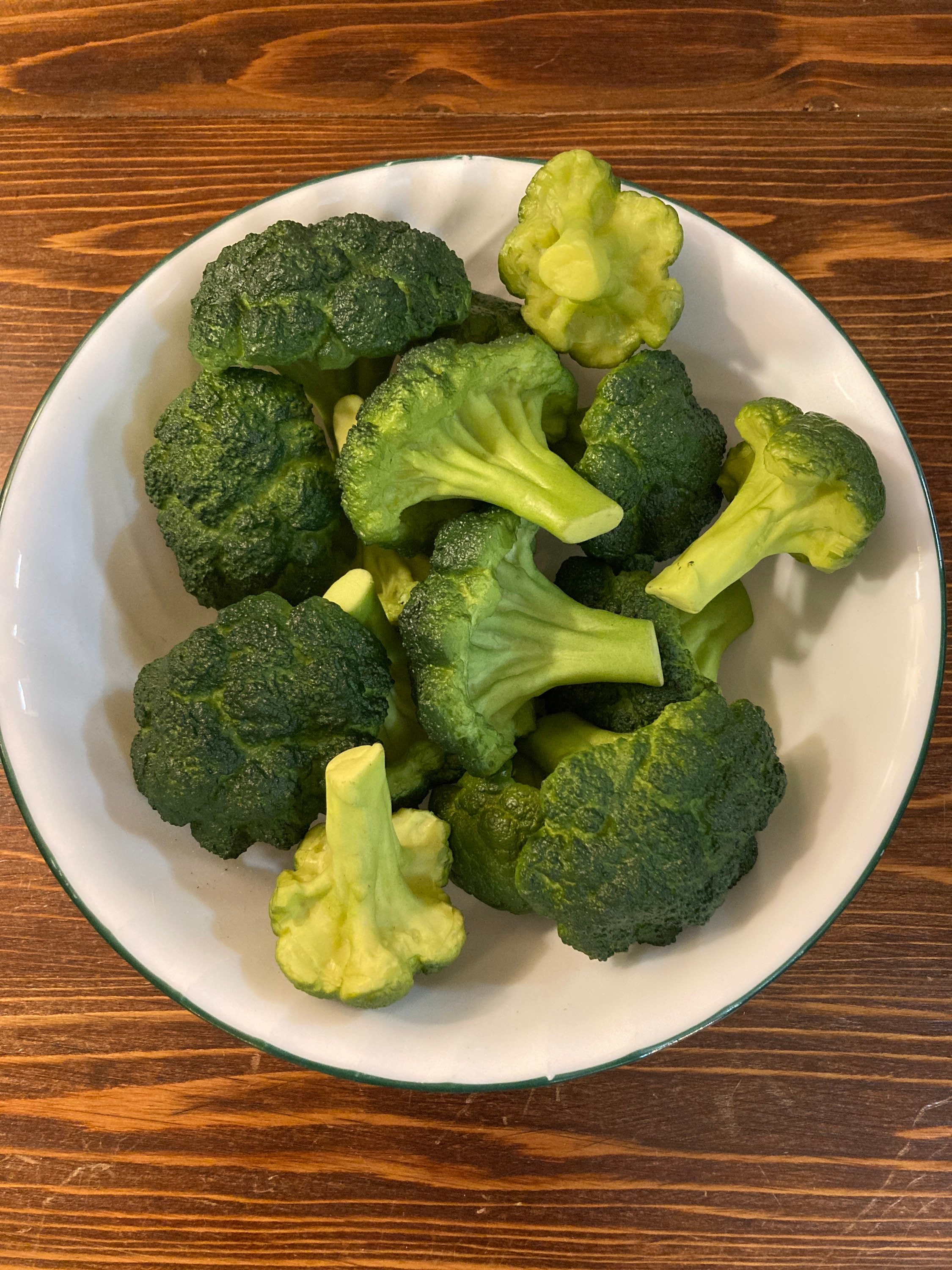 Fake Food Props Wax Broccoli Fake Veggies 8 oz 