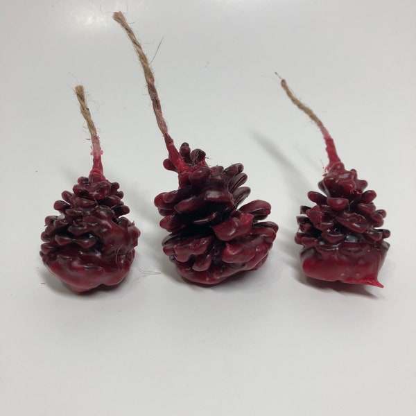 Set of 3 pine cone fire starters